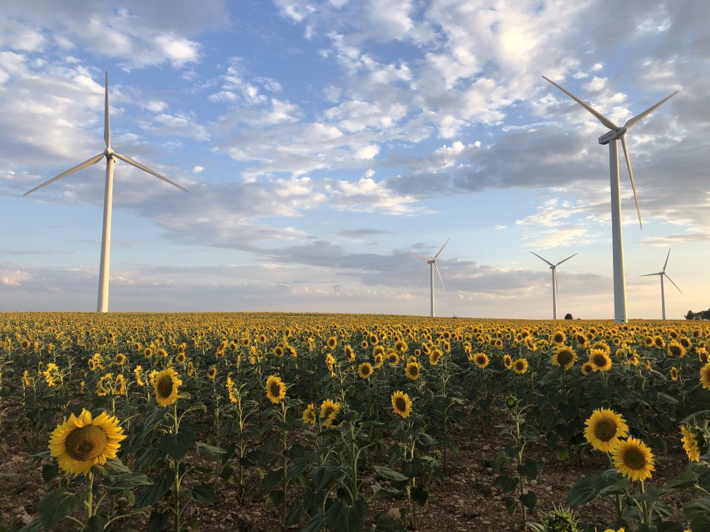 el viento en Palencia